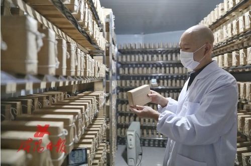 搶抓陜茶振興機遇 咸陽茯茶“鏈”動產(chǎn)業(yè)興